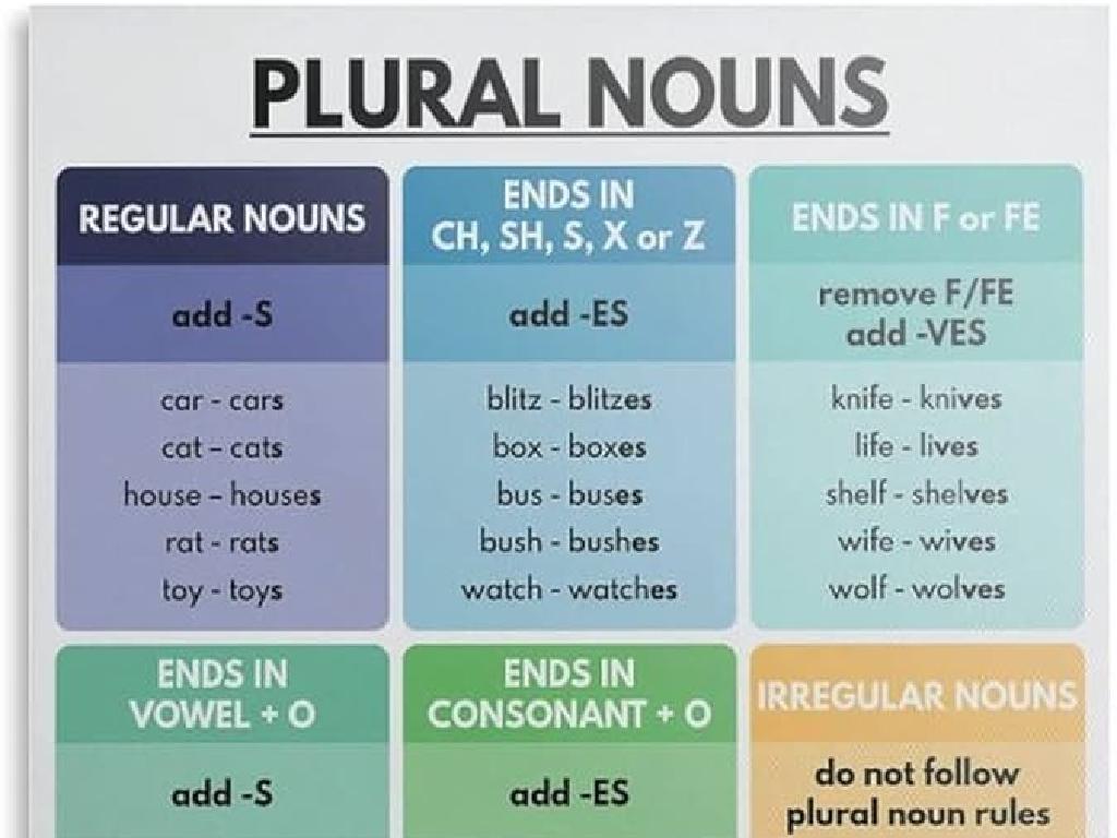 plural noun rules chart