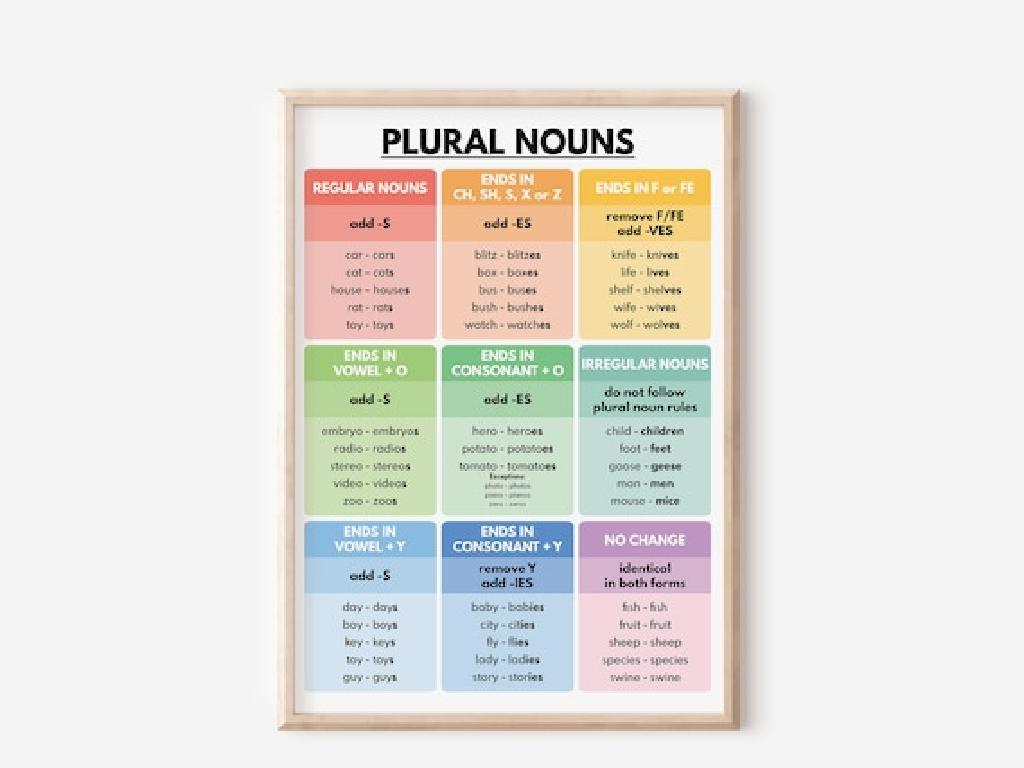 plural nouns rules