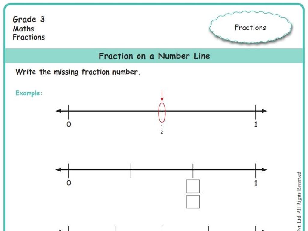 grade 3 fractions worksheet