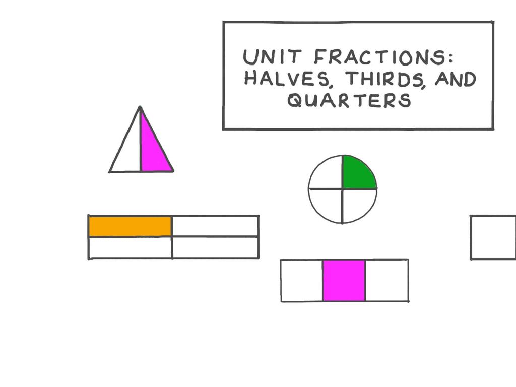 fractions halves thirds quarters