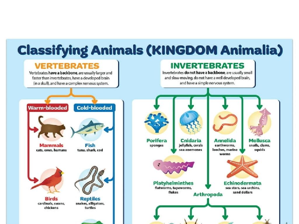 vertebrate invertebrate classification