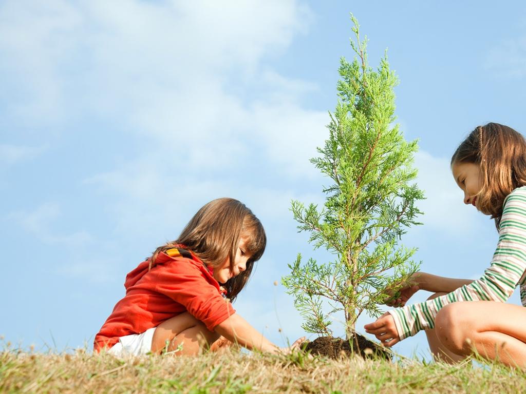 kids planting tree