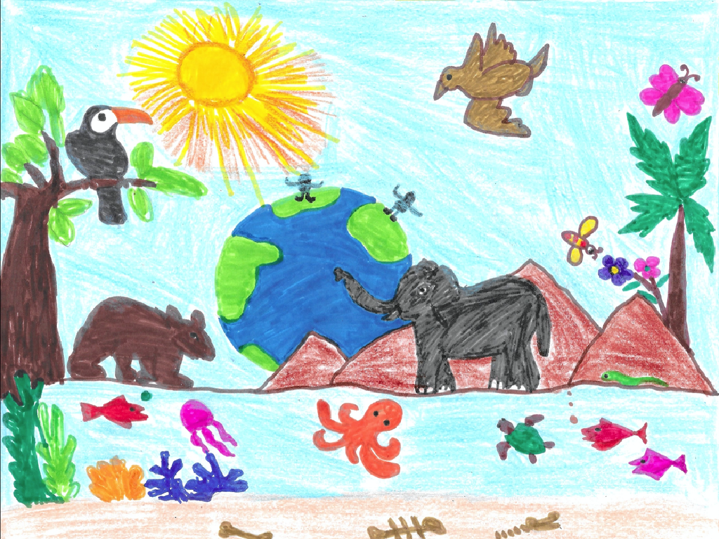 earth animals nature drawing