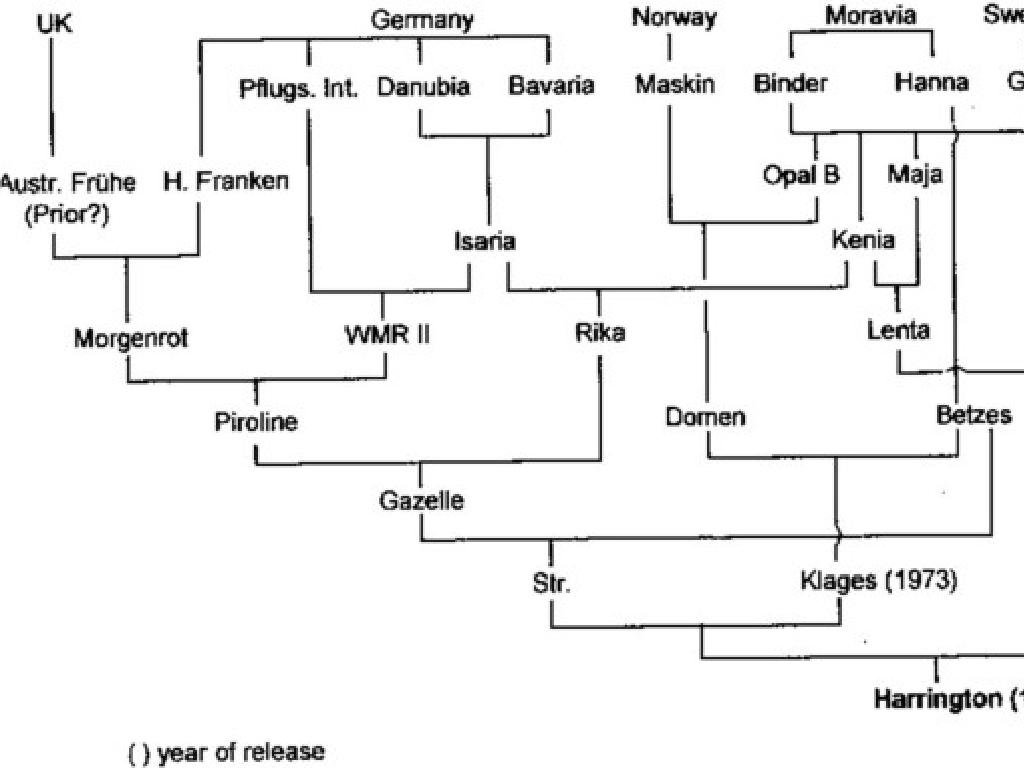 family tree names connections