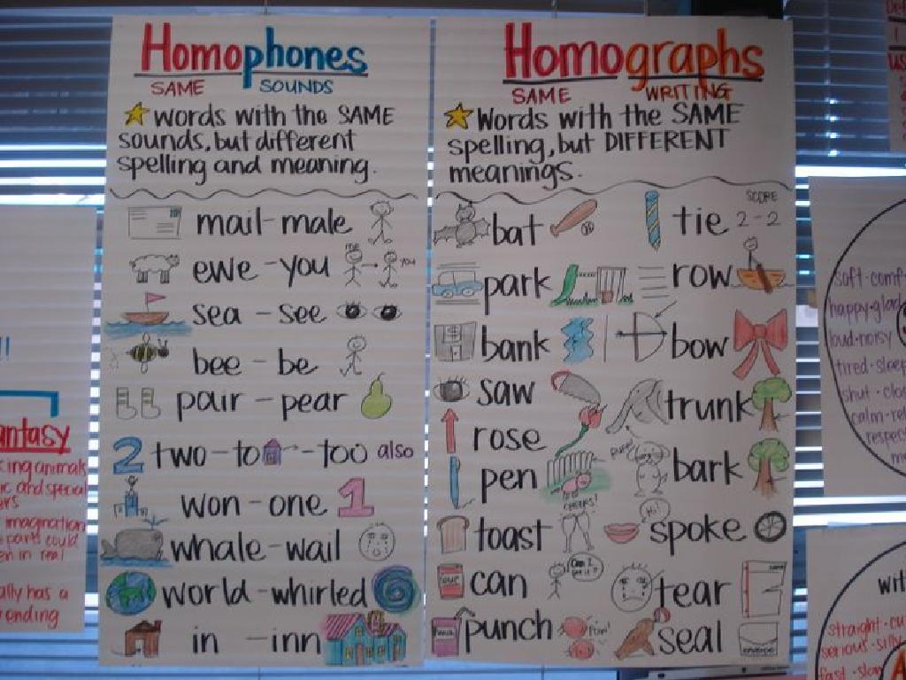 homophones homographs chart