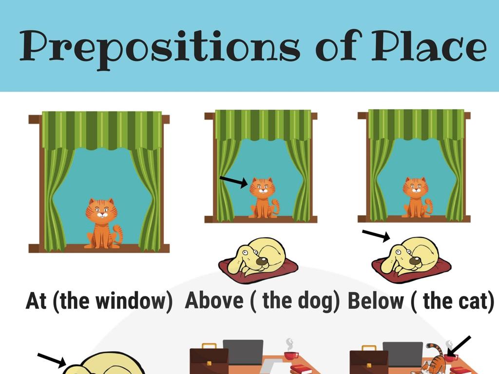 cat window prepositions