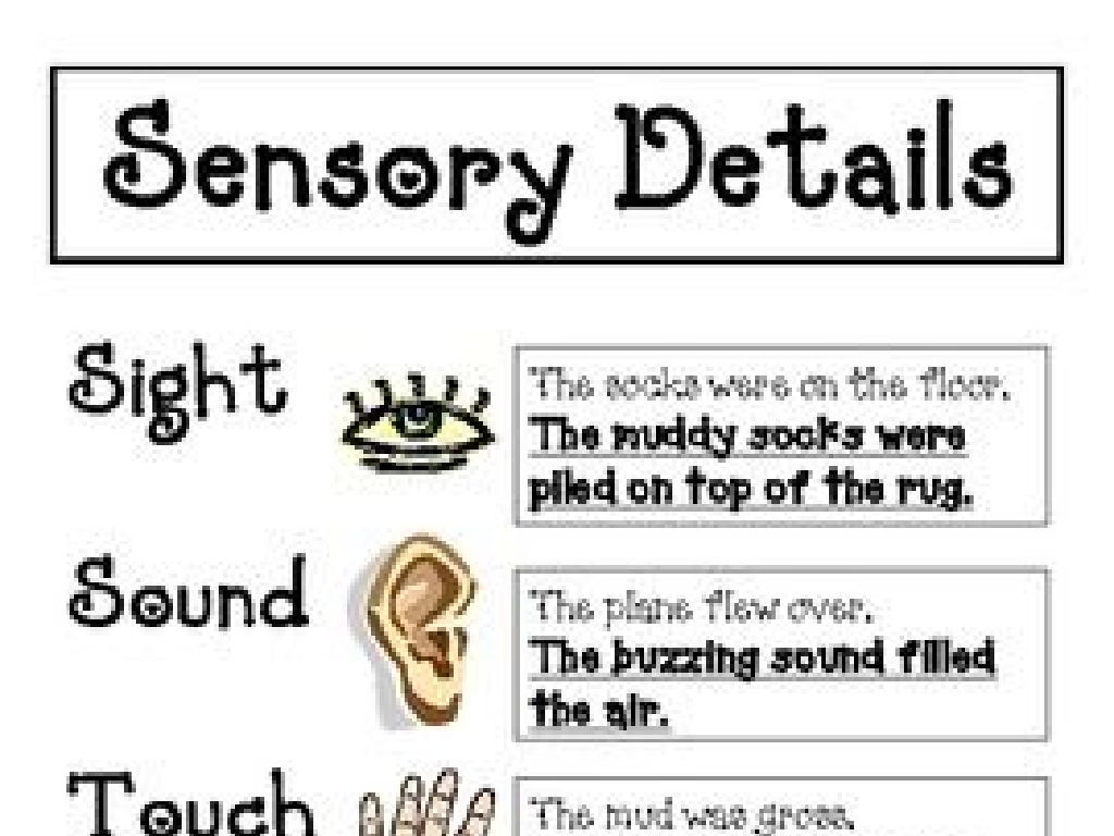 sensory details icons