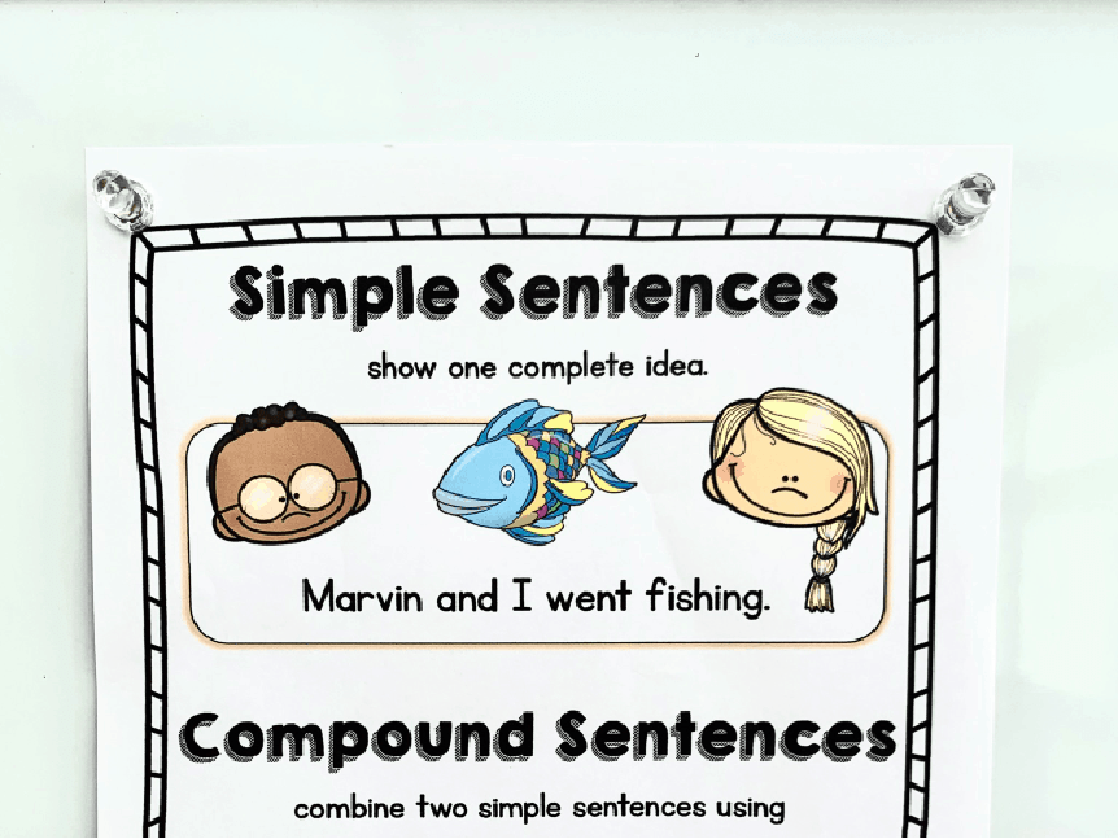 sentence types worksheet