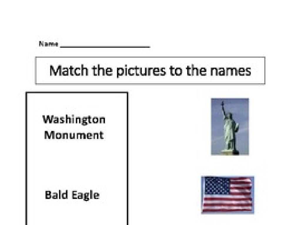 statue liberty flag match