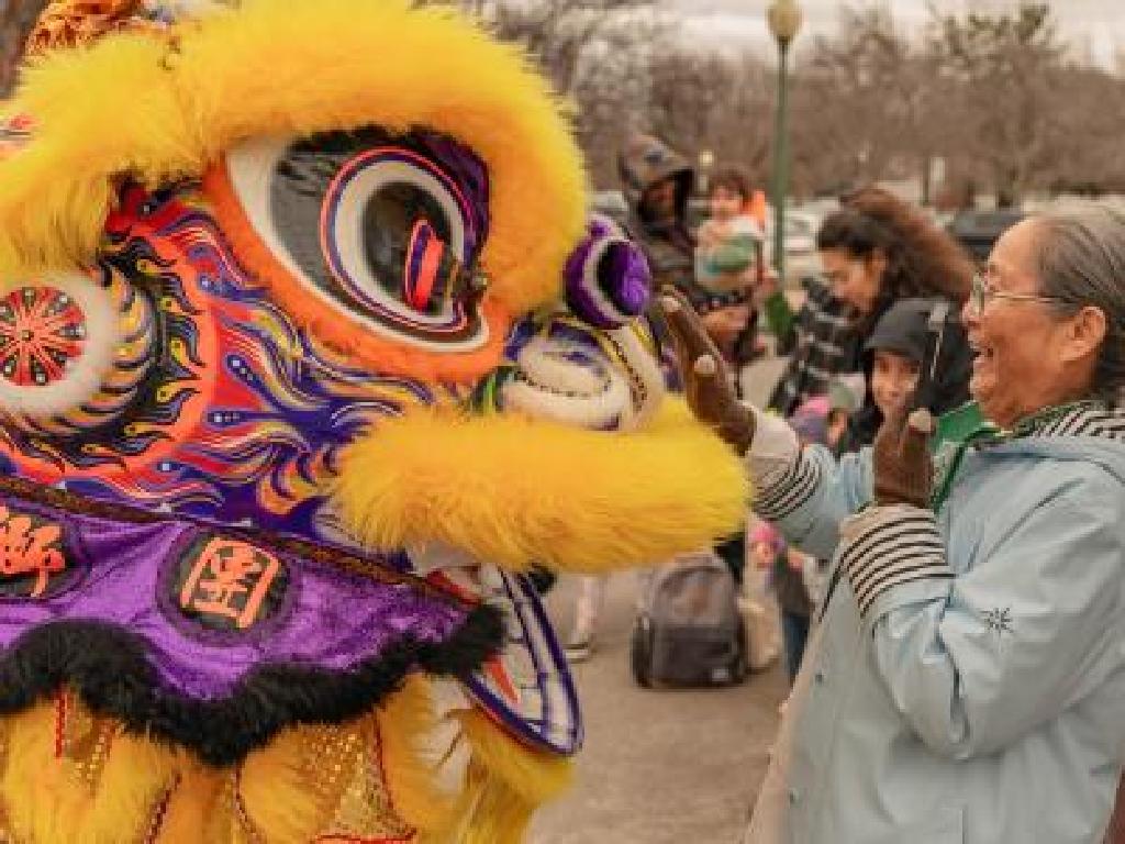 lion dance interaction